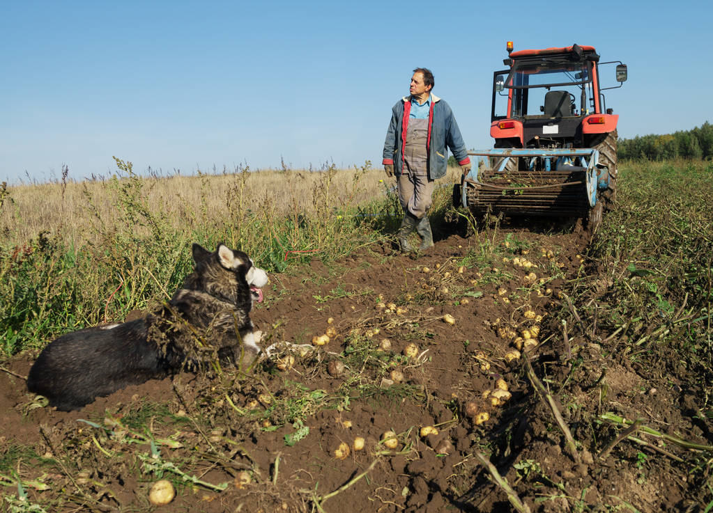 Cerco Lavoro in Agricoltura a Rotondella