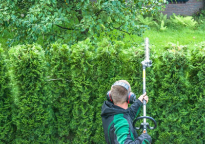 13-stock-photo-cutting-a-hedge-Copia-5