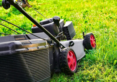 14-stock-photo-garden-care-lawnmower-trimming-green-grass-mowing-green-grass-Copia-4
