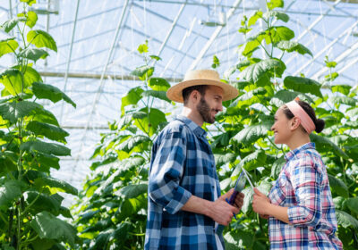 3-stock-photo-happy-interracial-farmers-digital-tablet-clipboard-talking-glasshouse-8