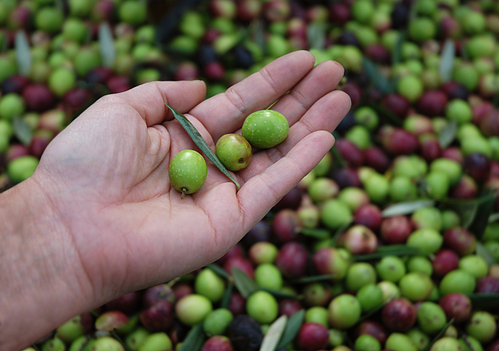 Hai Bisogno di Braccianti Agricoli a Garaguso? Trova Ora i Migliori Lavoratori per la Tua Azienda