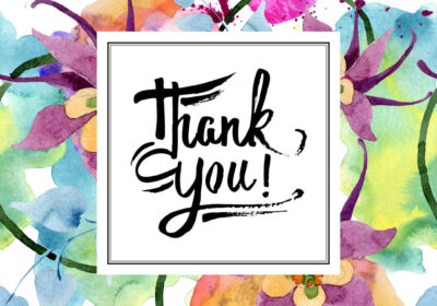 stock-photo-ornament-floral-botanical-flower-wild-spring-leaf-wildflower-isolated-watercolor